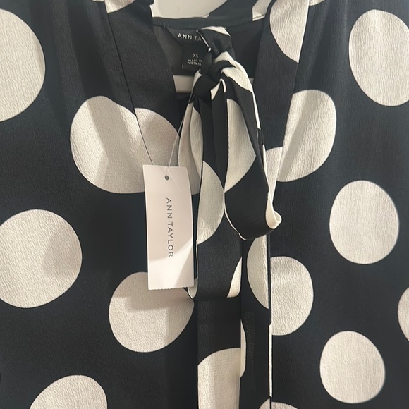 Ann Taylor Polka Dot Black and White Dress - Picture 2 of 2